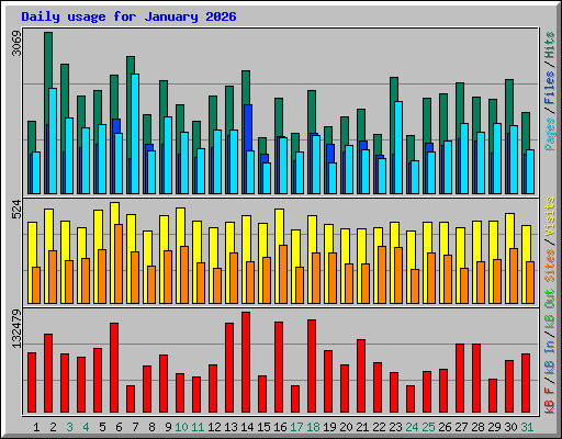 Daily usage for January 2026