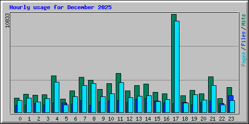 Hourly usage for December 2025