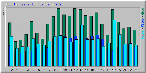 Hourly usage for January 2026
