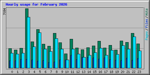 Hourly usage for February 2026